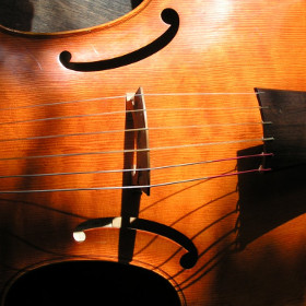 Viola da Gamba